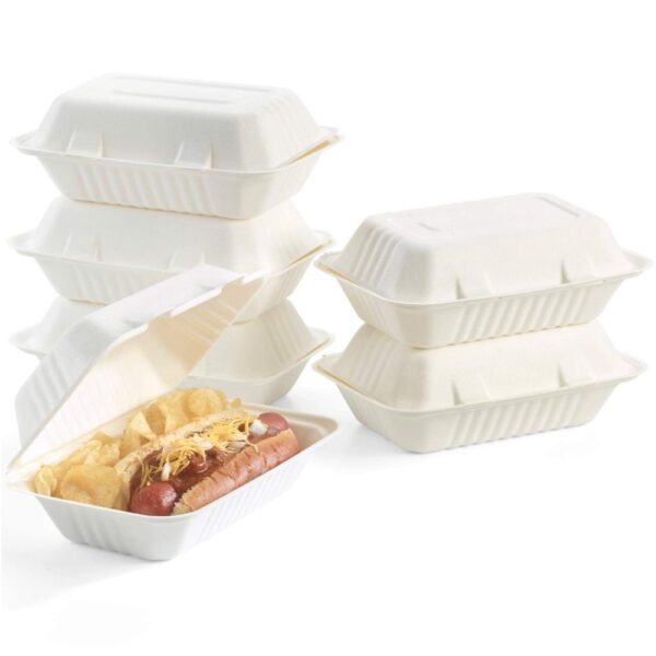 LUNCH BOX BIO